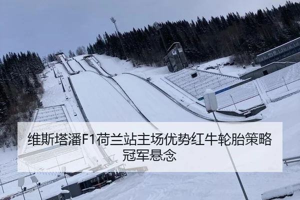 维斯塔潘F1荷兰站主场优势红牛轮胎策略冠军悬念