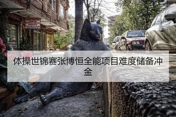 体操世锦赛张博恒全能项目难度储备冲金