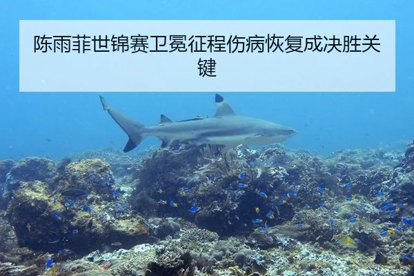 chen-yu-fei-shi-jin-sai-wei-mian-zheng-cheng-shang-bing-hui-fu-cheng-jue-sheng-guan-jian-2-432.jpg